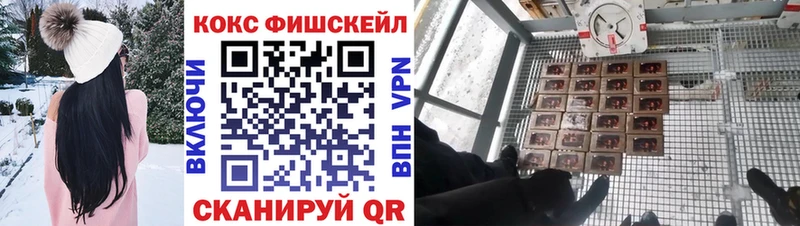 Cocaine FishScale  Купить где  Верхотурье 