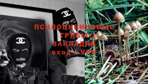 дмт Арсеньев
