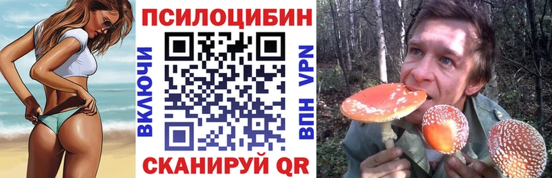Галлюциногенные грибы Magic Shrooms  Купить где  Верхотурье 